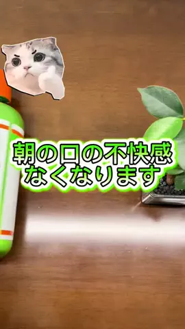 やっくる🦌のTikTok投稿