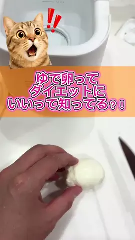 やっくる🦌のTikTok投稿