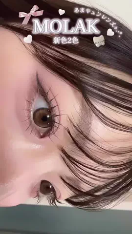 まげにゃんこのTikTok投稿