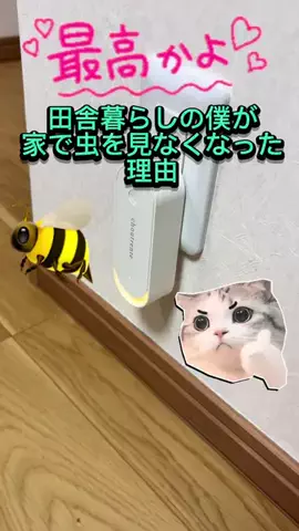 やっくる🦌のTikTok投稿