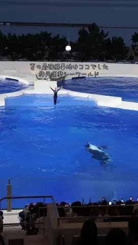 DufferのTikTok投稿