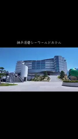 DufferのTikTok投稿