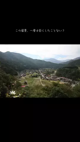 DufferのTikTok投稿