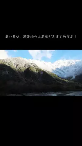 DufferのTikTok投稿