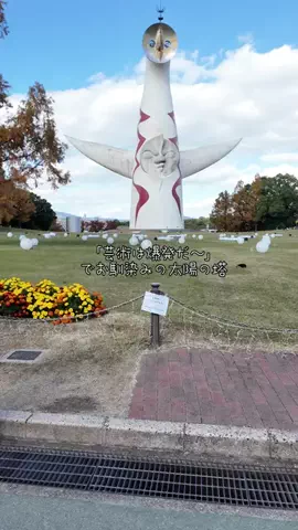 DufferのTikTok投稿