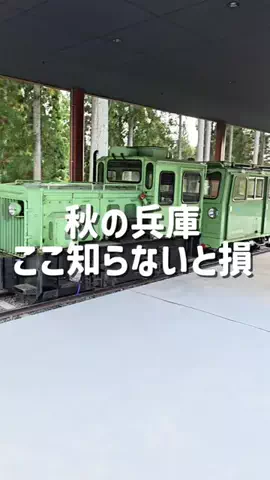 kanaeのTikTok投稿