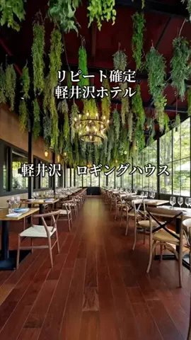 旅ログ〜映え×コスパ旅行のTikTok投稿