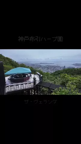 DufferのTikTok投稿