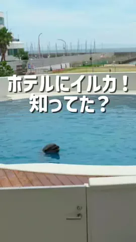 kanaeのTikTok投稿
