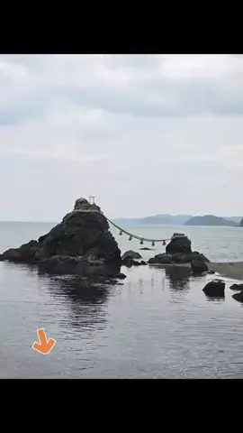 まけるなのTikTok投稿