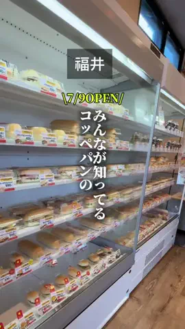 福ちゃんのTikTok投稿