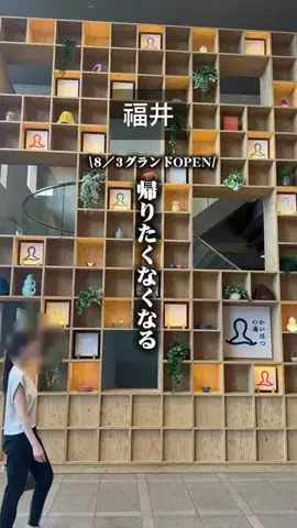福ちゃんのTikTok投稿