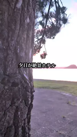 ココロ旅人のTikTok投稿