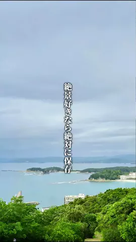 ココロ旅人のTikTok投稿