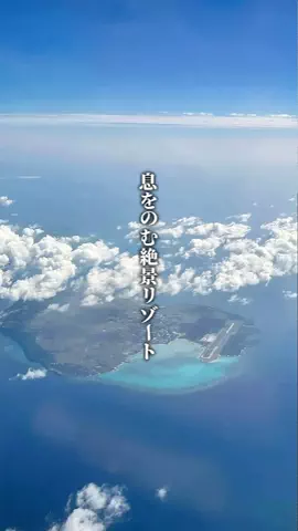 ココロ旅人のTikTok投稿