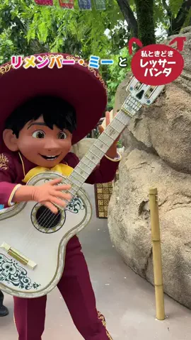 アミノ家のTikTok投稿