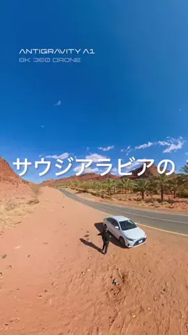 くさでぃーのTikTok投稿