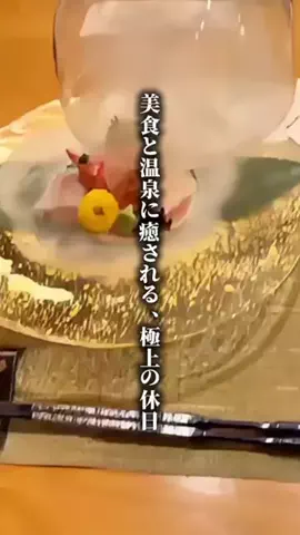 ココロ旅人のTikTok投稿