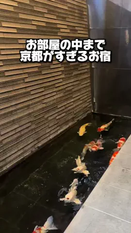37歳おっさん旅垢のTikTok投稿