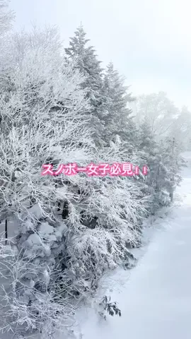 yui/結衣のTikTok投稿
