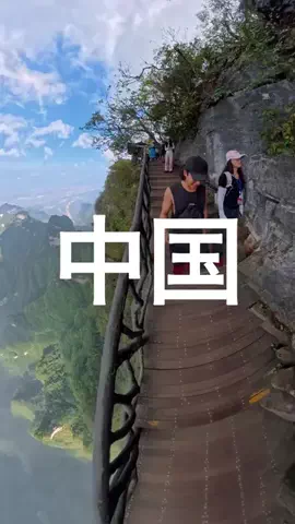 くさでぃーのTikTok投稿