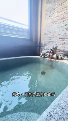 ラベちゃん🪻温泉旅♨️のTikTok投稿