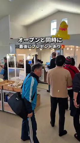 ゆたはる💑🌏🌞|横浜→全国おでかけ365日発信カップルのTikTok投稿