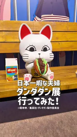 日本一暇な夫婦【りりぼん夫婦】のTikTok投稿