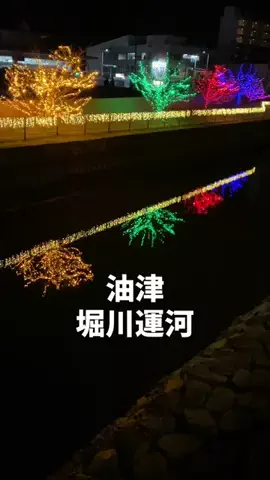 ギャンブラー漁師のTikTok投稿
