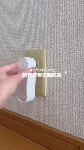 しずくのTikTok投稿