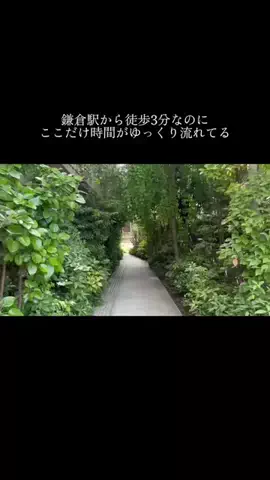 yadozukan_officialのTikTok投稿