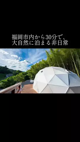 yadozukan_officialのTikTok投稿