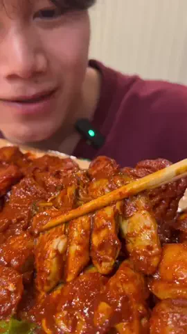 ぽんまつはうすのTikTok投稿