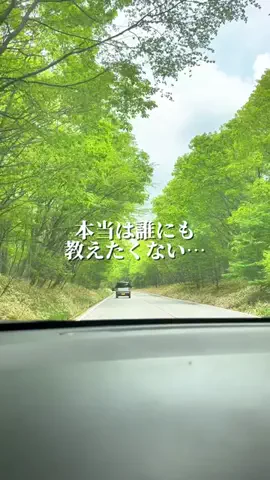 栃木グルメ／TOCHIGI SELECTのTikTok投稿