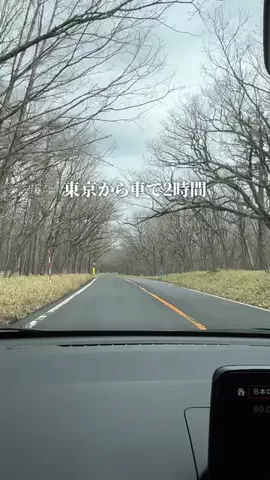栃木グルメ／TOCHIGI SELECTのTikTok投稿