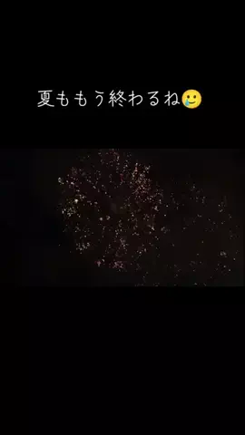 たーぼう🐢💚のTikTok投稿
