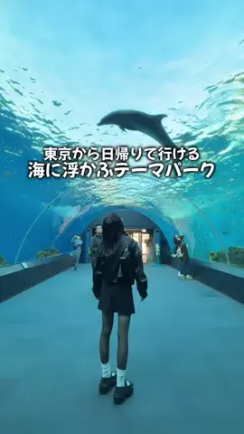 ゆらくん|都内からおでかけ夫婦のTikTok投稿