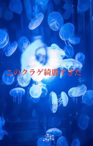 実証レビューLAB｜公式検証のTikTok投稿