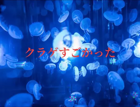 実証レビューLAB｜公式検証のTikTok投稿