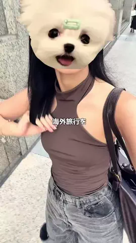 zuki vlogのTikTok投稿