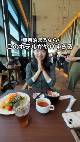 ゆらくん|都内からおでかけ夫婦のTikTok投稿