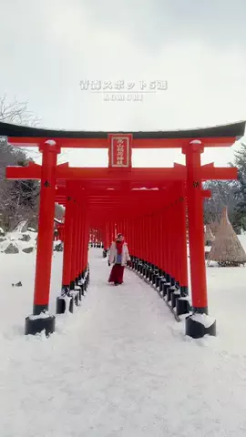 Ayane / 写真撮る人のTikTok投稿