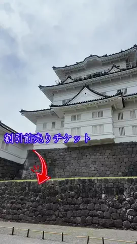 LittleBamboo.lsのTikTok投稿