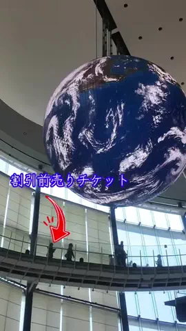 LittleBamboo.lsのTikTok投稿