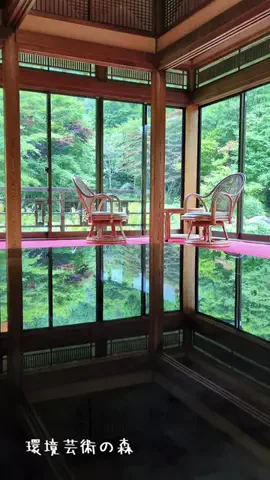 たちのTikTok投稿