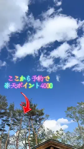 LittleBamboo.lsのTikTok投稿