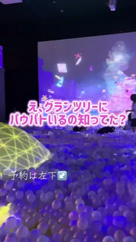阿川麻美 Asami AgawaのTikTok投稿