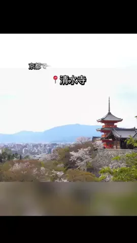 にゃじらのTikTok投稿