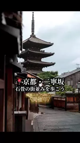 にゃじらのTikTok投稿