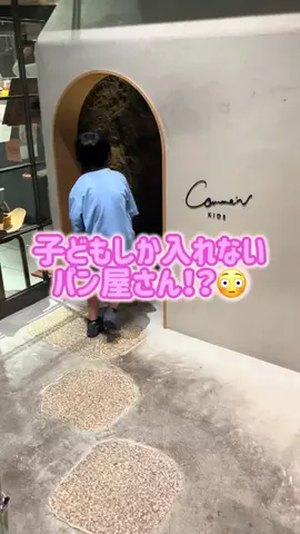 阿川麻美 Asami AgawaのTikTok投稿